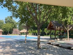 -南宫五洲植物乐园