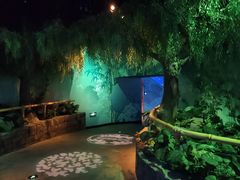 -沈阳海洋探索中心