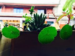 -在路上酒吧(大理古城店)