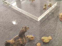 -北京鲁迅博物馆(北京新文化运动纪念馆鲁博馆区)