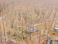 -黄海国家森林公园