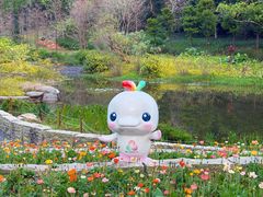 -云溪植物园