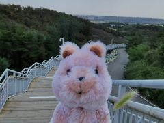-大青山野生动物园