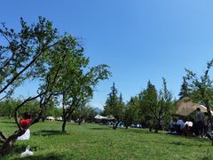 -洨河生态公园