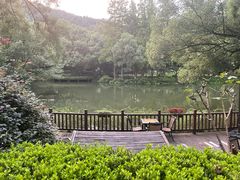 -杭州花家山庄