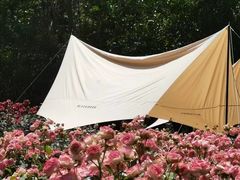 -三圣花乡旅游区