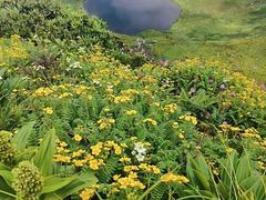 -苍山感通索道
