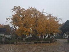 -苏州东山雕花楼宾馆
