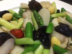 -新兴·金羊座·粤菜点心(乐峰店)