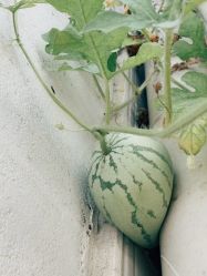 -Oasis Beauty水磨坊科技美肤中心