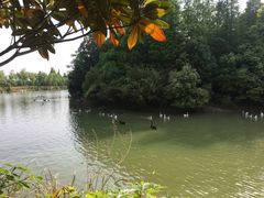 -艾溪湖湿地公园