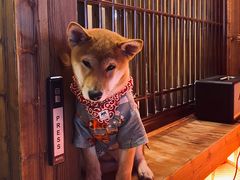 -無境·匠心日本料理(汉街店)