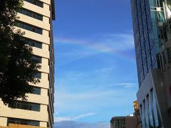 -桐园果汇(湖贝店)