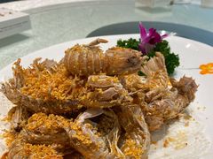 避风塘濑尿虾-大东海海鲜酒楼(渔人码头总店)