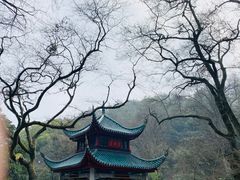 -岳麓山风景名胜区