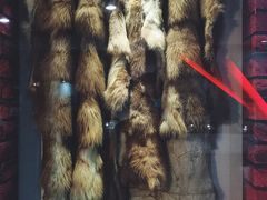 -抚顺煤矿博物馆