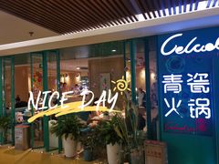 -青瓷火锅料理(西单大悦城店)
