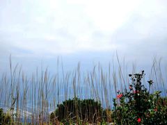 -银瓶嘴森林公园