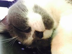 -MIKAKU(万达广场上海宝山店)