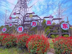 -高东镇樱花园