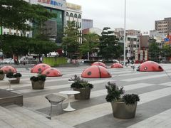 -万科城市广场(厚街店)