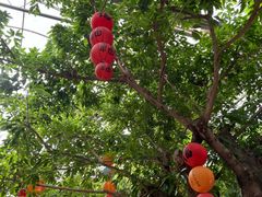 -九天休闲谷