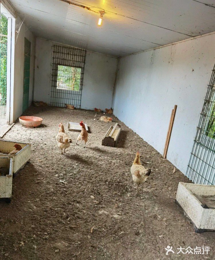 来户外亲近自然，喂食小动物吧！