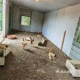 来户外亲近自然，喂食小动物吧！