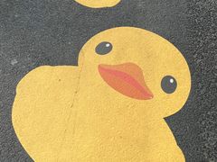 -深圳人才公园