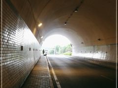 -天花井景区