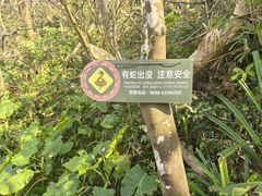 -海南铜鼓岭景区