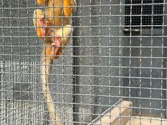 -保定市动物园