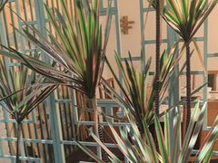 -野妹经典火锅(民治店)