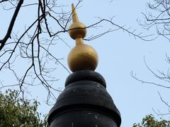 -上海佘山国家森林公园西佘山园