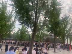 -大雁塔北广场音乐喷泉