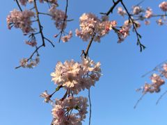 -玄武湖景区-情侣园游乐场