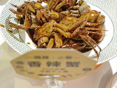 -嗨辣小聚·盘锦河蟹·海鲜烧烤龙虾(盘锦十年好店)