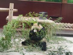 -杭州野生动物世界