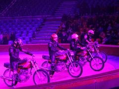 -环球城国际大马戏