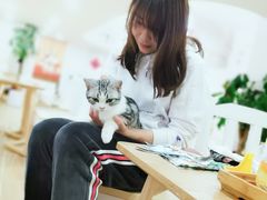-李小姐の猫咖啡馆(五角场店)