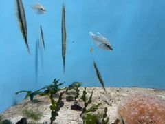 -鹿儿岛水族馆