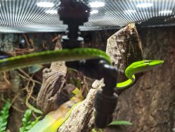 点击看大图 -酷嗒动物文化乐园(cutezoo西溪乐天城店)