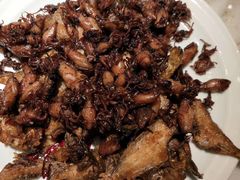 -日丰园海肠水饺·老字号大连海鲜(和平广场店)