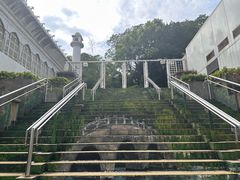 -九龙公园