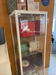 -杭州贝瑞斯美华妇儿医院·早孕·产检·儿科