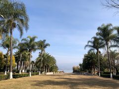 -西昌邛海湾柏樾酒店(原邛海湾柏栎度假酒店)