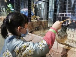 -酷嗒动物文化乐园(cutezoo西溪乐天城店)