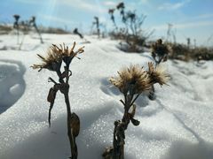 -终南山国家森林公园