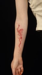 -越域刺青