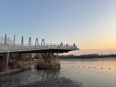 -大兴滨河森林公园